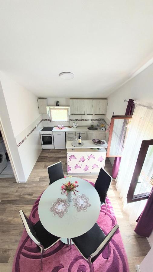Apartment Jelena Sutvara Κότορ Εξωτερικό φωτογραφία